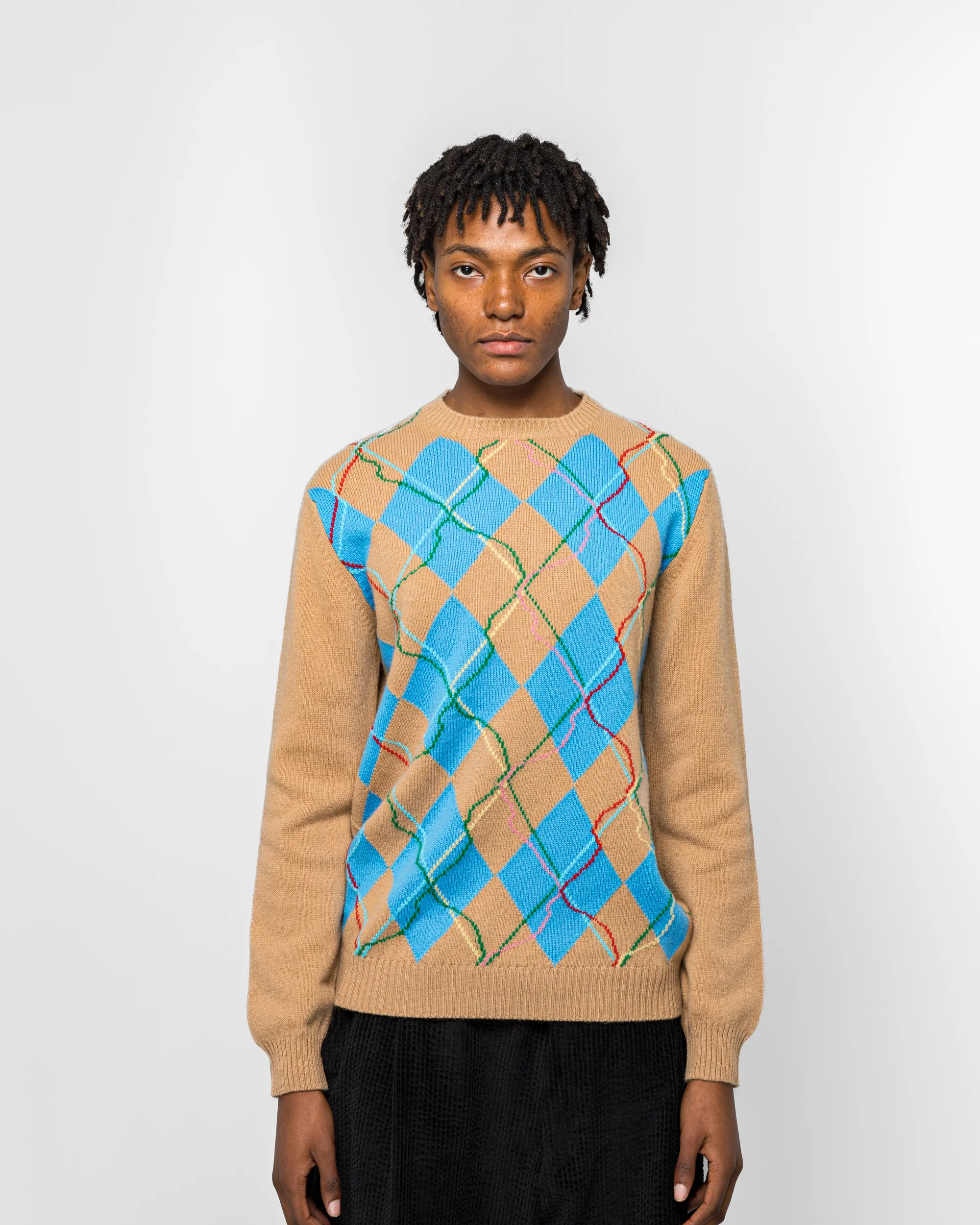 Wild Garden Knitted Jumper - Argyle - Image 2