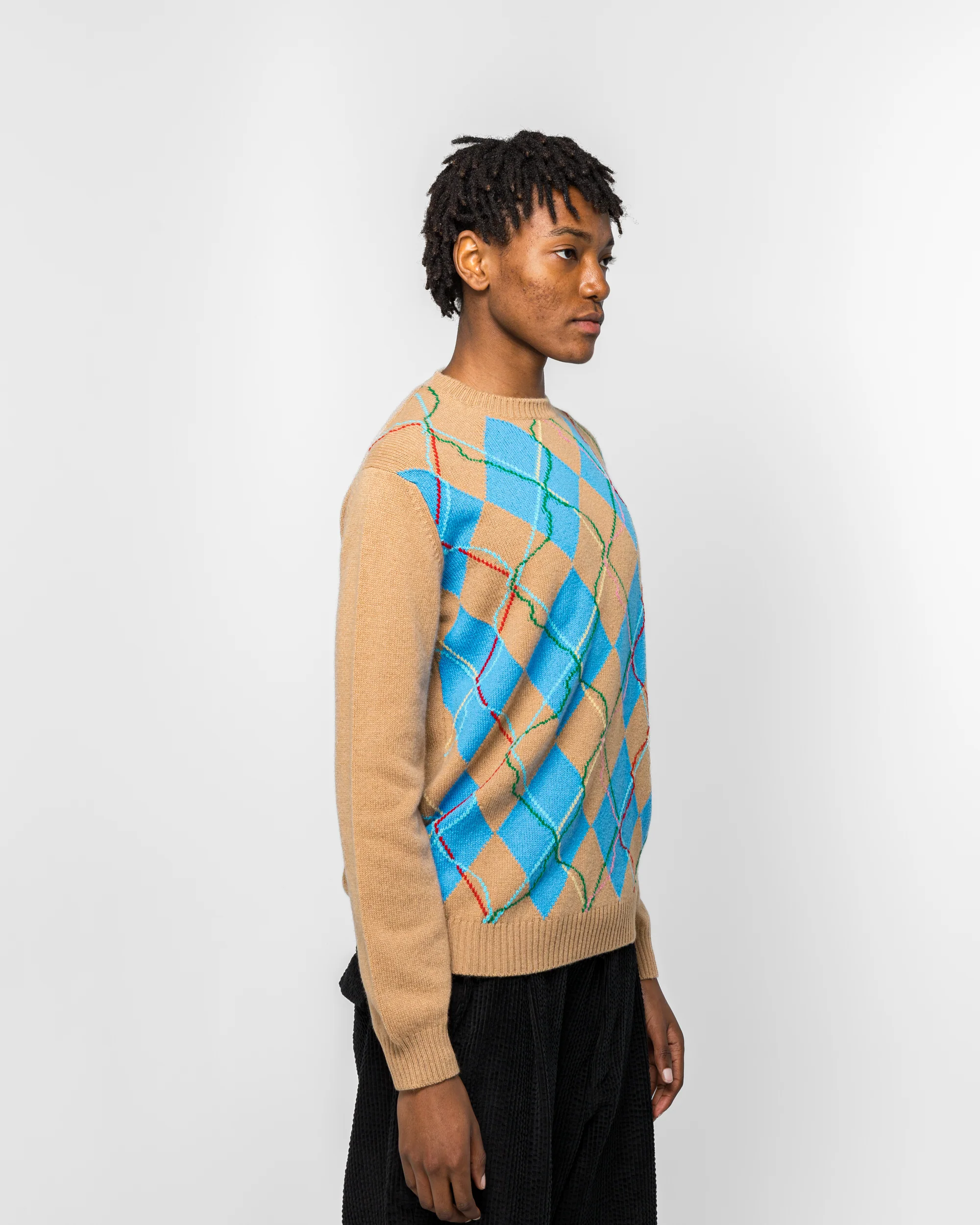 Wild Garden Knitted Jumper - Argyle - Image 3