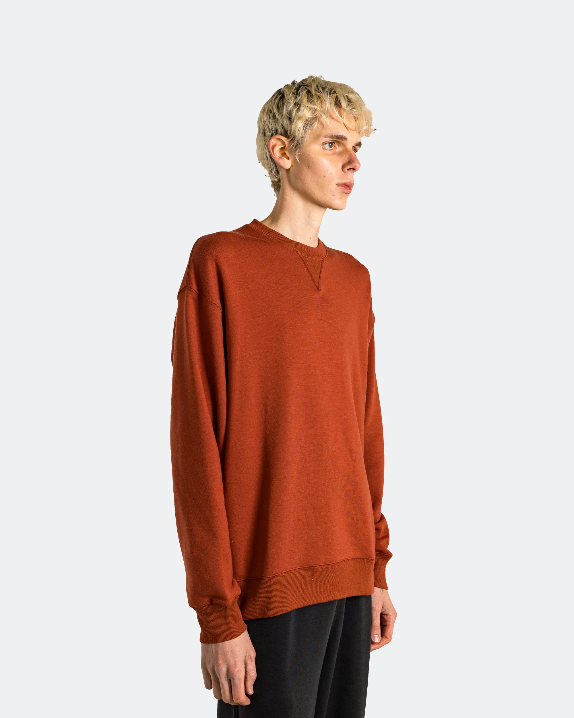 Wool Classics Crew - Mars Stone - Image 3